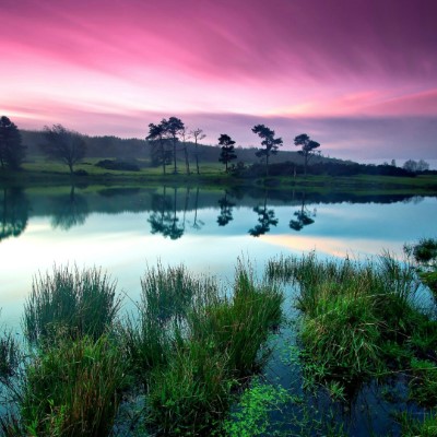 1920 x 1080 HD Wallpapers 2479